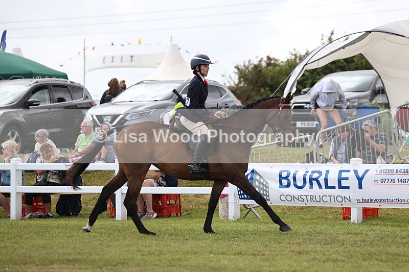 3E7A2343 - Class 11: Retraining of Racehorse