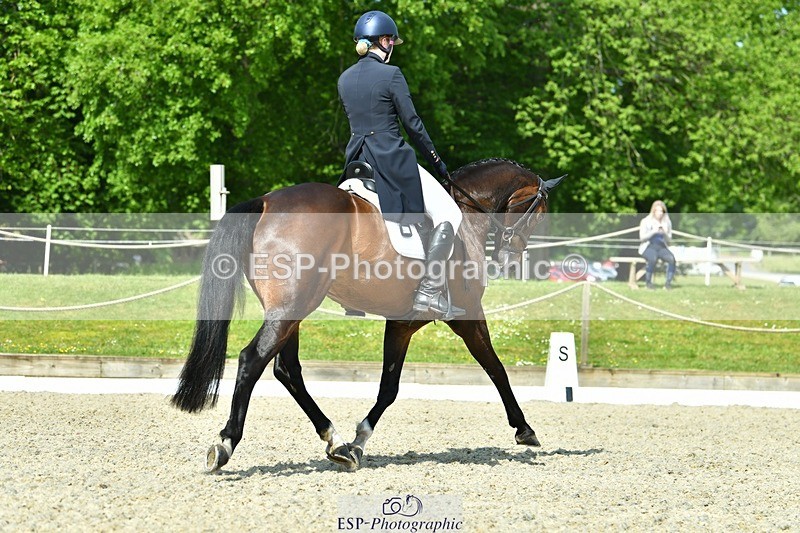 230525-102454-03892 - 412-SAN_SOLO-Imo_Brook-DR