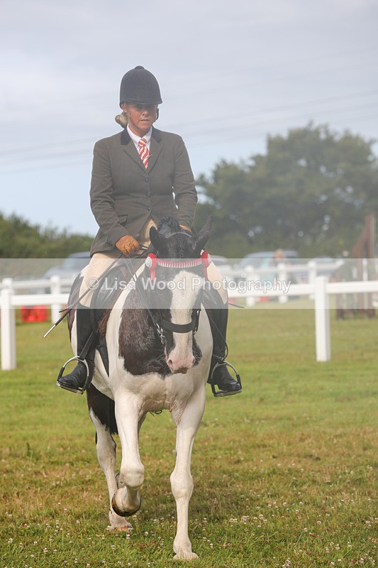 1X9A3032 - Class 26: Ridden Plaited Coloured Pony