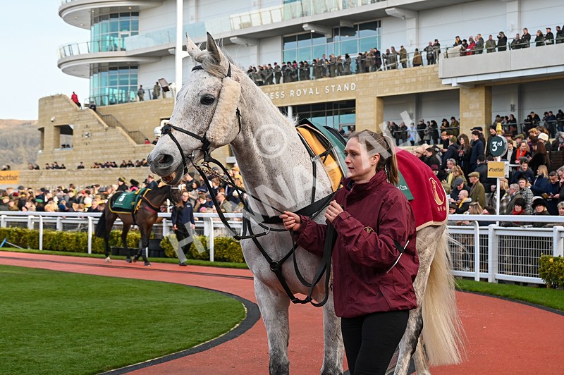 250125-Race 4-Gentlemansgame-3346 - Race 4