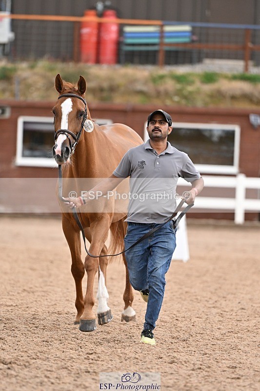 250716-145642-01535 - Trot Up 2.30 to 3.30