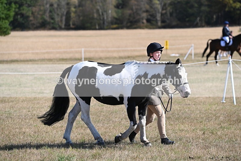 WJ6_7424 - Class 34 Judges Choice