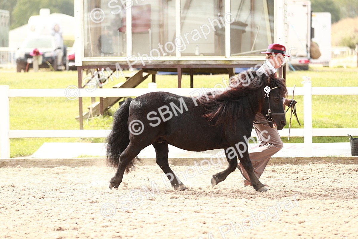 SBM_12426 - Class 207 IH M&M