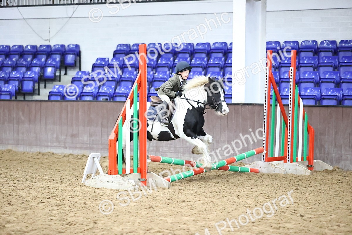 SBM_000176 - Class 2 - The Rug Lady 40cm Area 12 Championship Qualifier