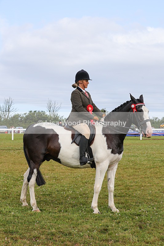 1X9A3077 - Class 26: Ridden Plaited Coloured Pony