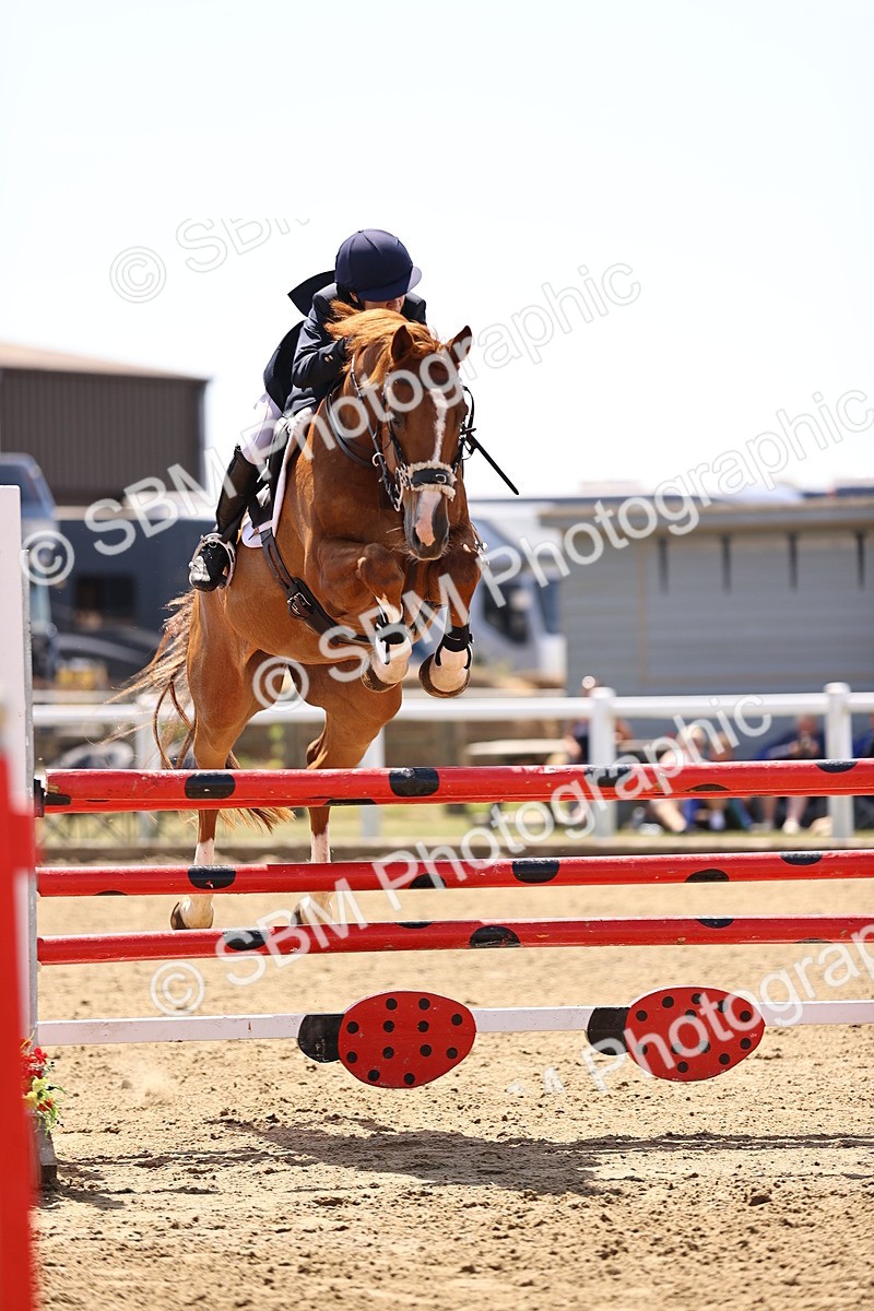 SBM_010154 - Class 9 - Senior Foxhunter - 1.20m Open