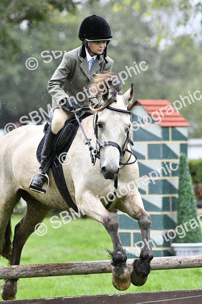 SBM_42303 - S32 - Mountain & Moorland Working Hunter Pony