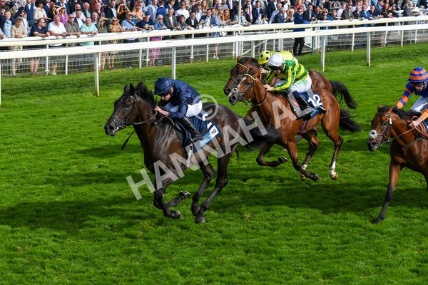 250823-Race 6-Battle Cry-1048 - Race 6 4.45pm British EBF 40th Anniversary Convivial Maiden Stakes