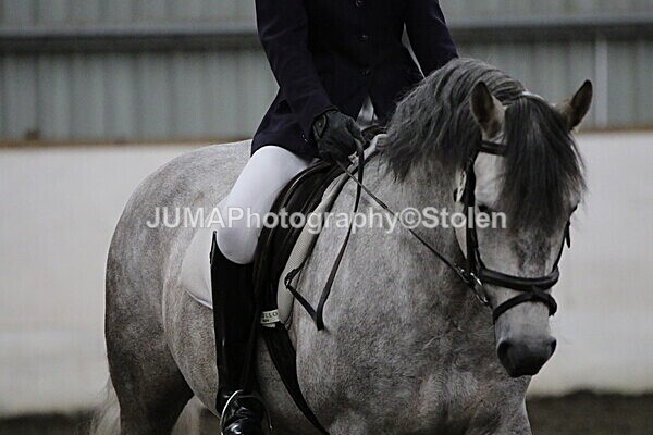 SIAL4045 - CAbin Dressage 5th july 2025