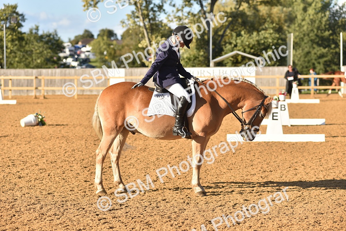 SBM_11418 - D28 - Elementary