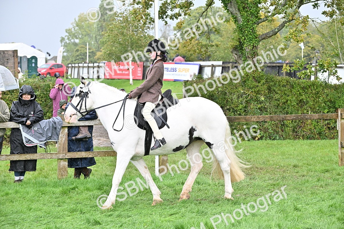 SBM_43023 - S12 - Family Horse & Pony