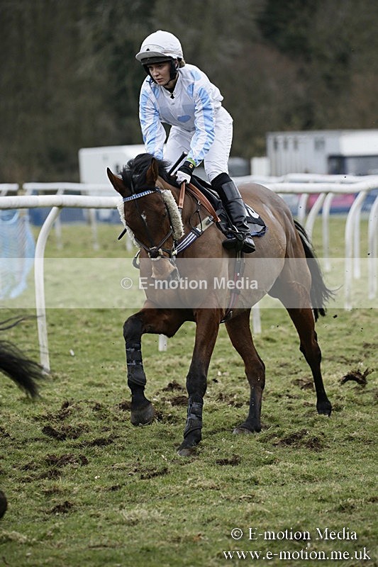 PtP 110318 327 - Hampshire Hunt Point-to-Point Hackwood Park 11/03/18