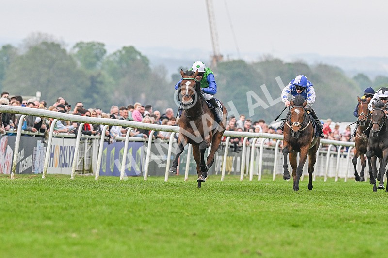 060524-Race 7-Spartan Warrior-2520 - Race 7