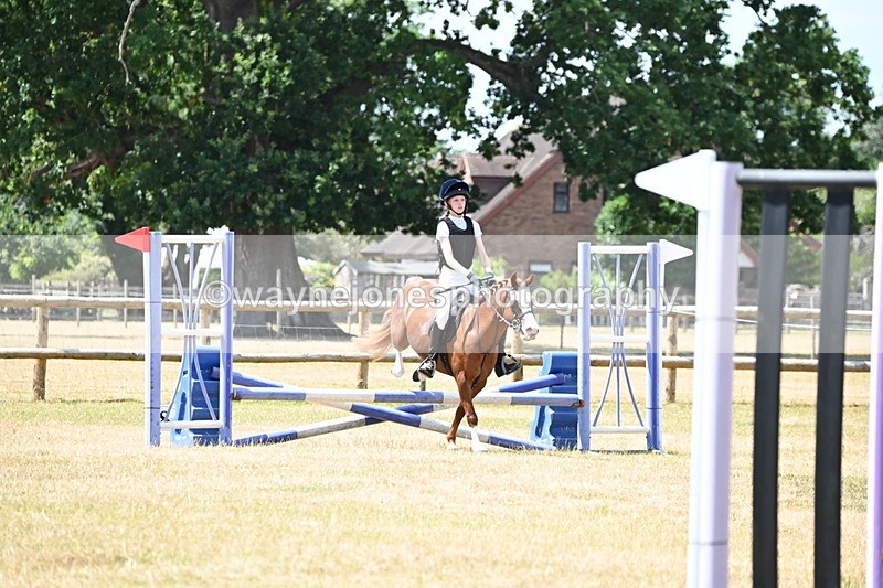 WJ6_5749 - Class 13 Novice 60cm