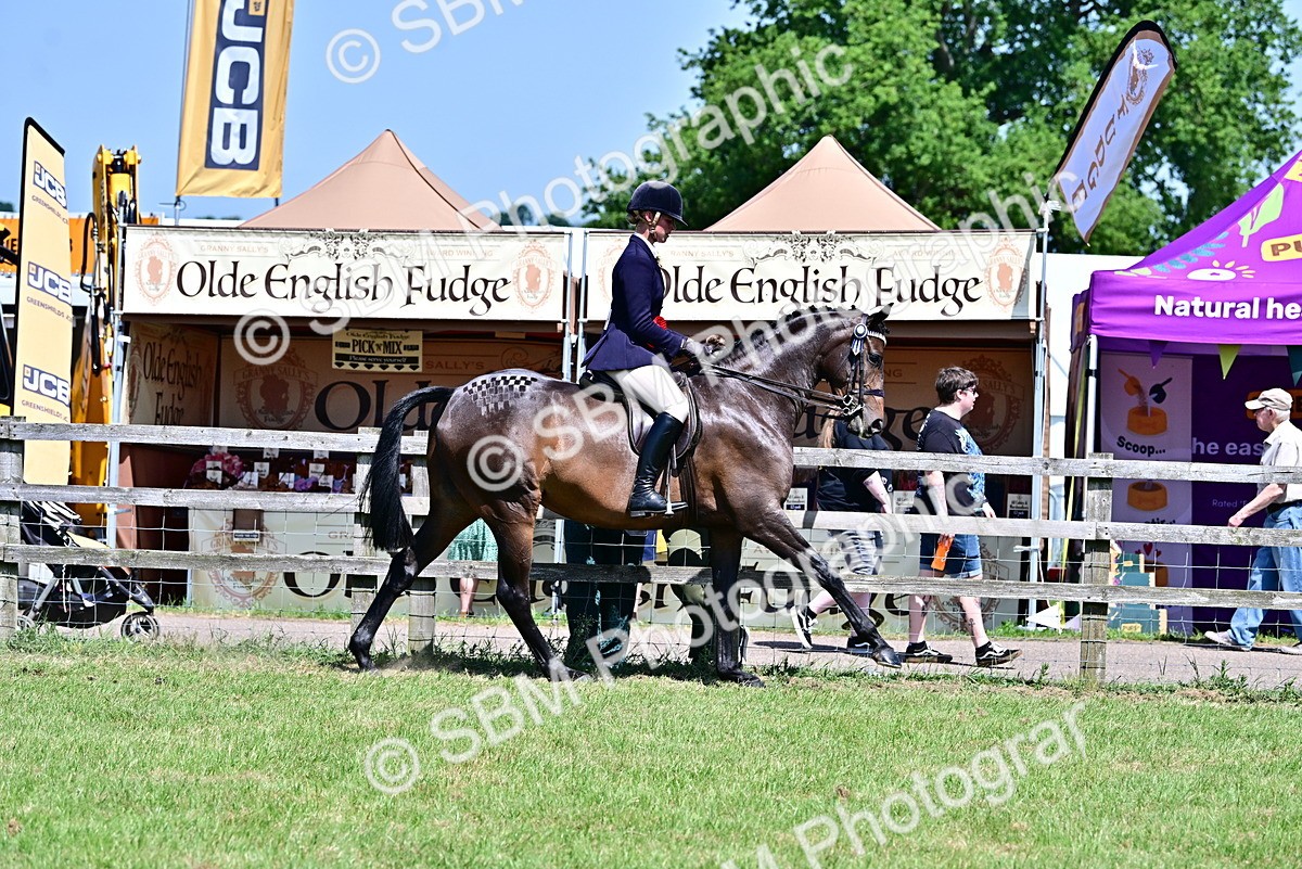 SBM_17544 - Class 95-97 - BSPS LHS Performance Ponies