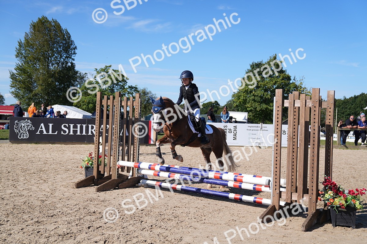 SBM_19440 - J57 - Clear Round 50cm