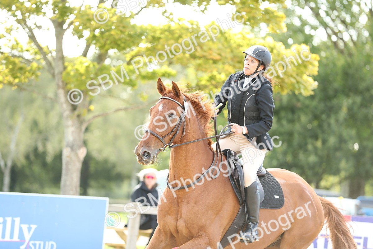 SBM_11435 - J37 - Veteran Rider 75cm