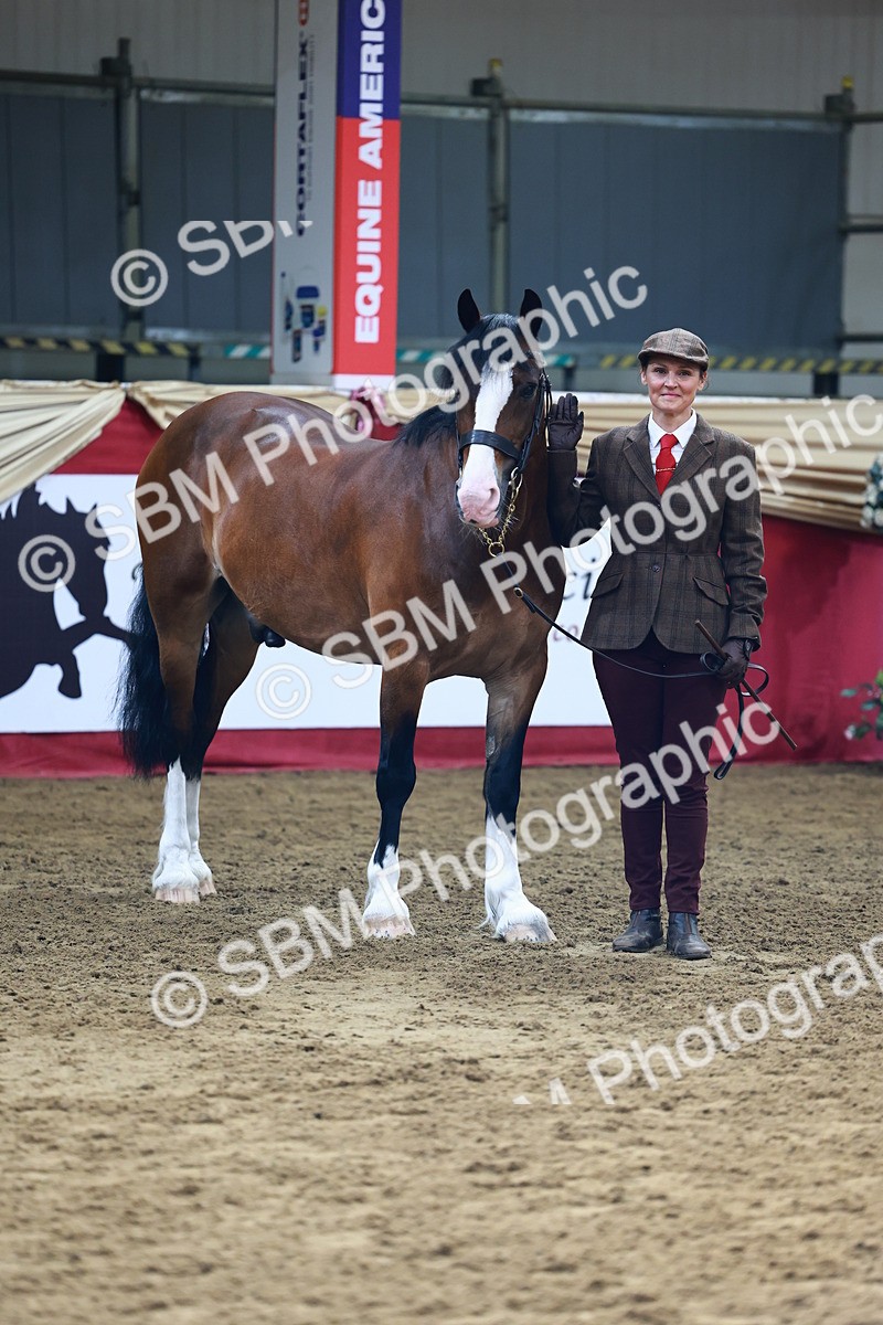 SBM_22206 - Class 902 - Supreme Final - IH Diamond