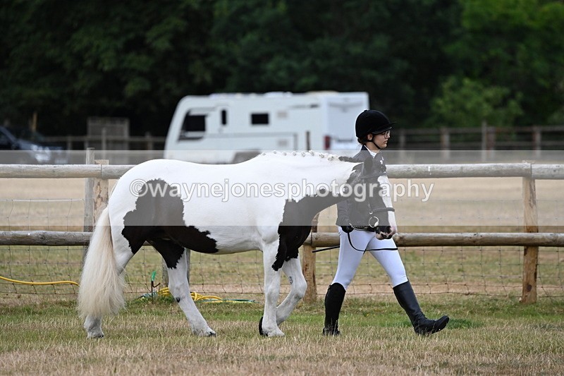 WJ6_4143 - Class 10 Coloured In-hand