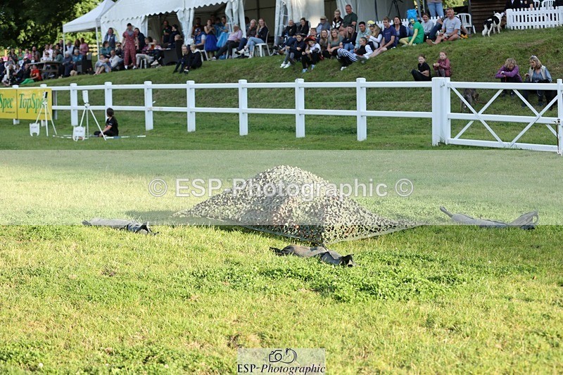 240711-193706-30099 - Cls 210 Jolly Jumps Run and Run