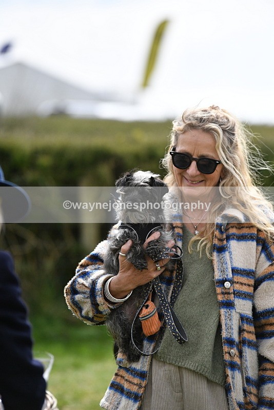 WJ5_9872 - Class 3 Most Handsome Dog