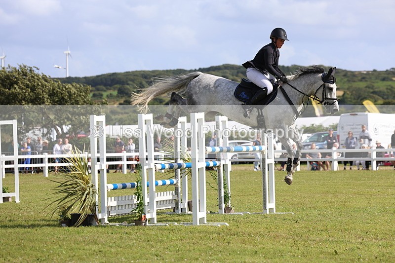 3E7A3481 - Class B: Showjumping Accumulator