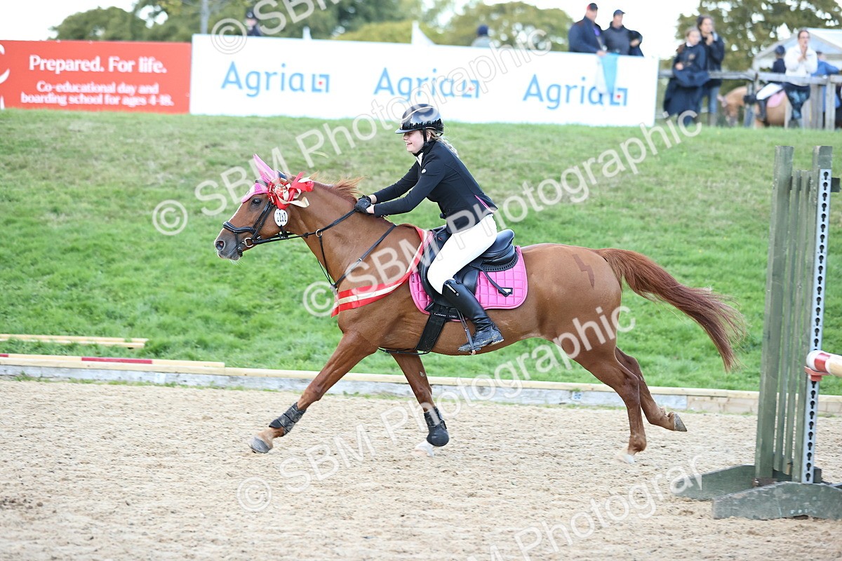 SBM_54435 - Supreme Championship 70cm 75cm
