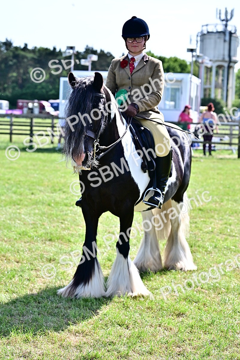 SBM_09433 - Class 63-65 - Traditional Gypsy Cobs In Hand & Ridden
