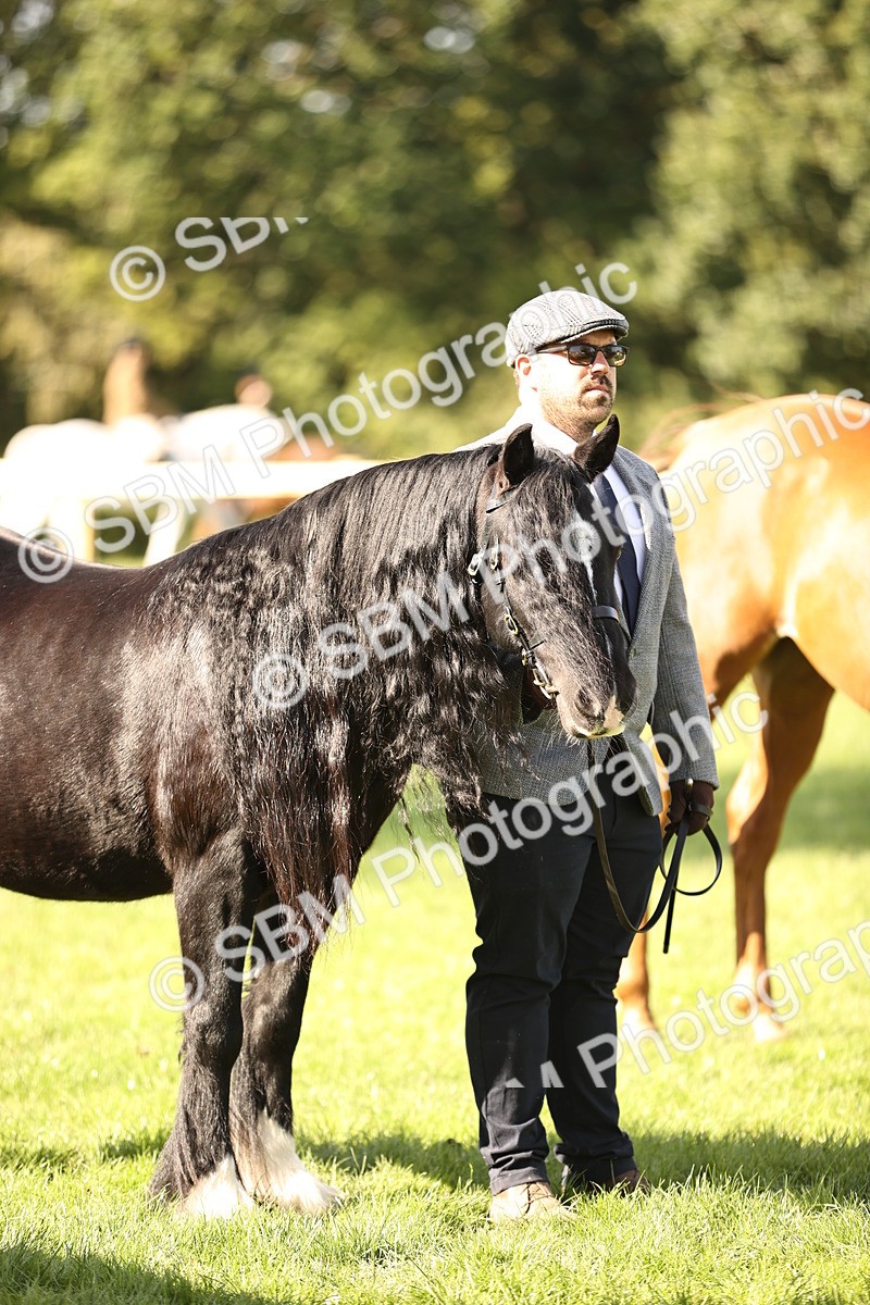 SBM_26199 - S5 - Novice & Newcomers In Hand