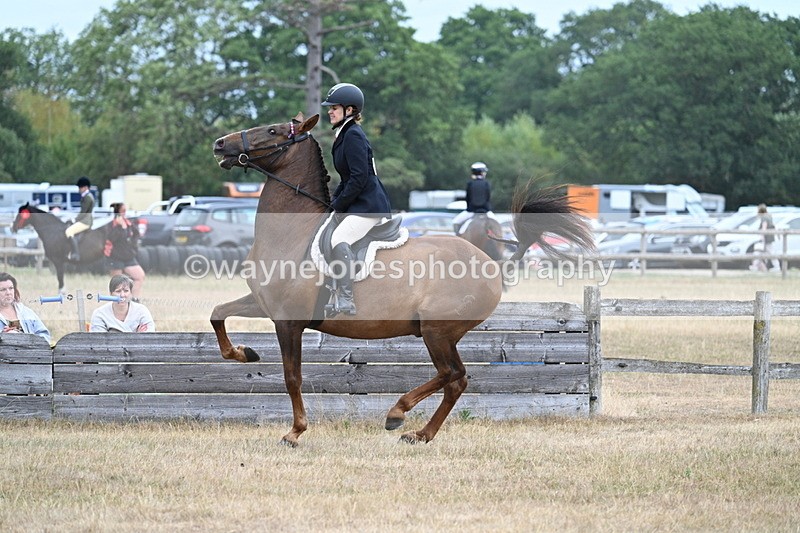 WJ7_0820 - Class 7 Riding Club Show Horse