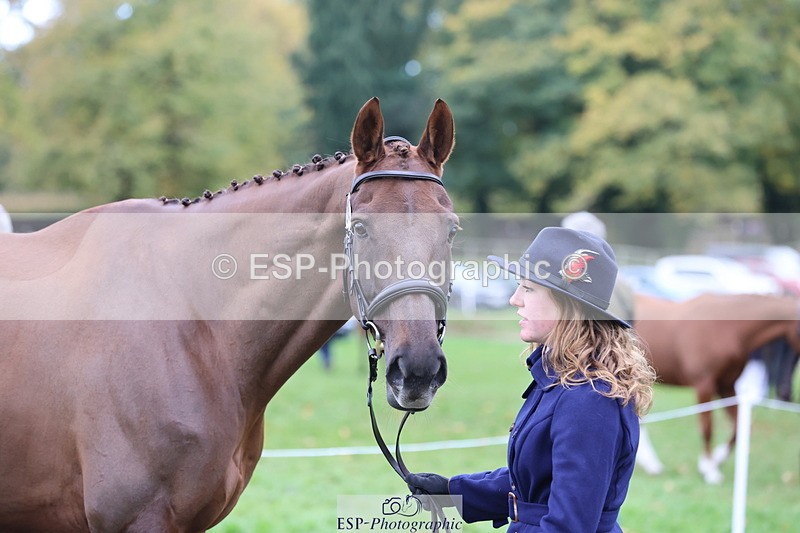 251026A-111022-25272 - G-503-Bethan.ODell