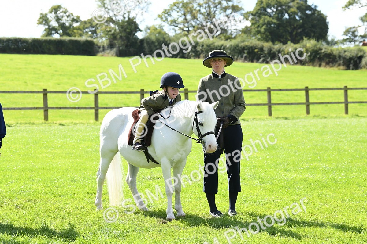 SBM_42605 - S20 - Lead Rein Mountain & Moorland Pony
