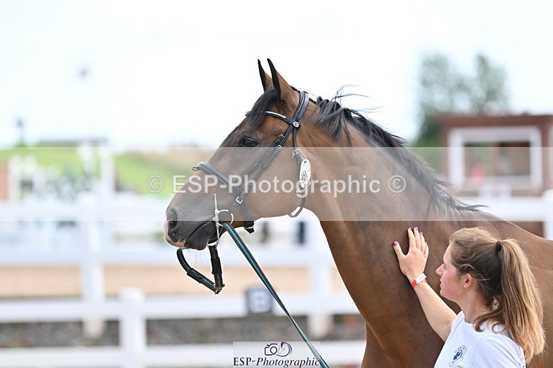 240717A-142800-02074 - Trot Up 2pm to 3pm - This folder is not in time order