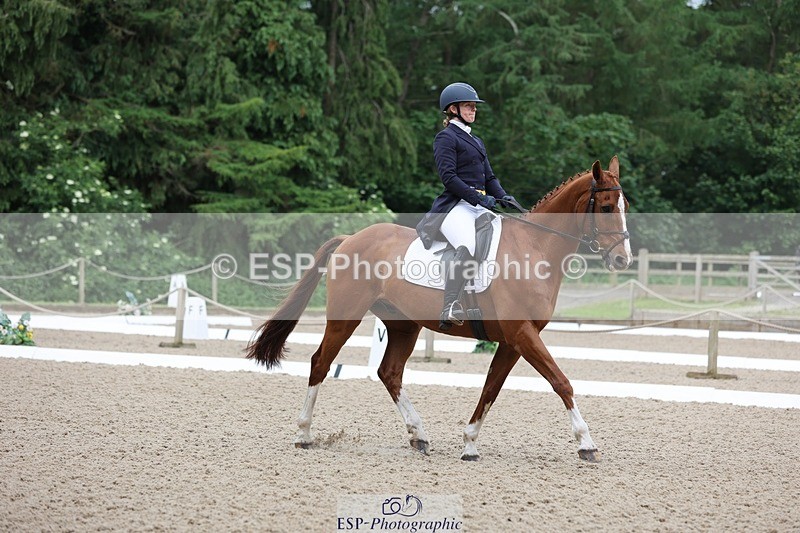 240524-090115-07030 - 251-MILESTONE_GOLD-Gaby_Bull