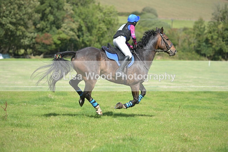 RAY_8730 - Class 2: Trekenning Open: Wall