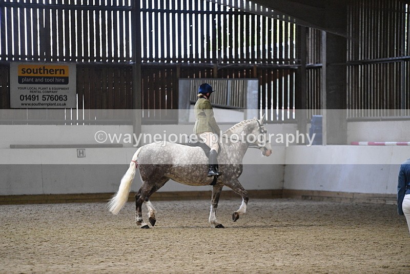 WJ5_8211 - Class 14 Novice Ridden/Rider