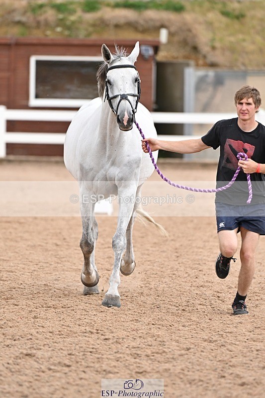 250716-145916-01578 - Trot Up 2.30 to 3.30