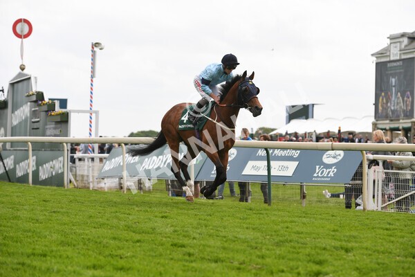 yr13052022r4-40 - Race 4 3.35pm The Paddy Power Yorkshire Cup (British Champions Series Race)
