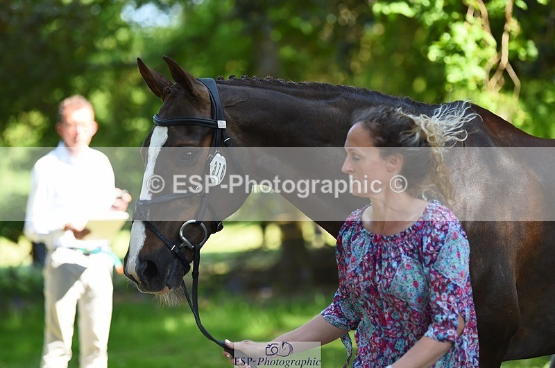 230524-154344-00463 - 376-DIRECT_BALLYTARSNA_DUCAREL-Jodie_Amos-WEDTrotUp+DR