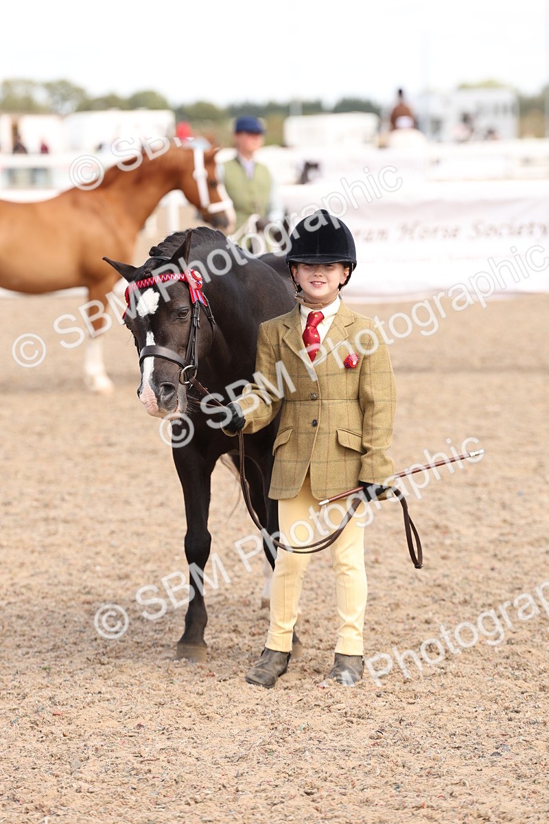SBM_15066 - Class 209 - IH Veteran Pony