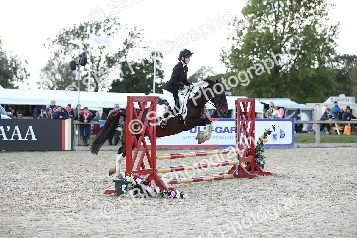 SBM_49503 - J22 - Junior Horse 65cm Championship