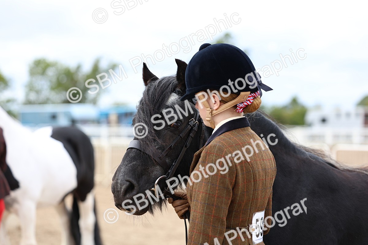SBM_05970 - Class 29 - IH Veteran Pony