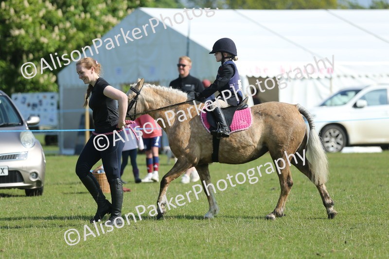 20250427-0883 - Class 1 - Mini Jumping Lead Rein or Assisted