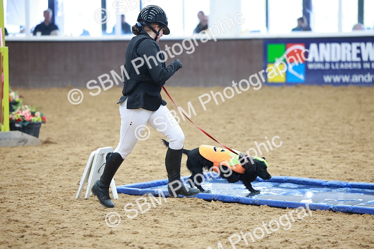 SBM_001695 - Class 3 - Horse & Hound (60cm)