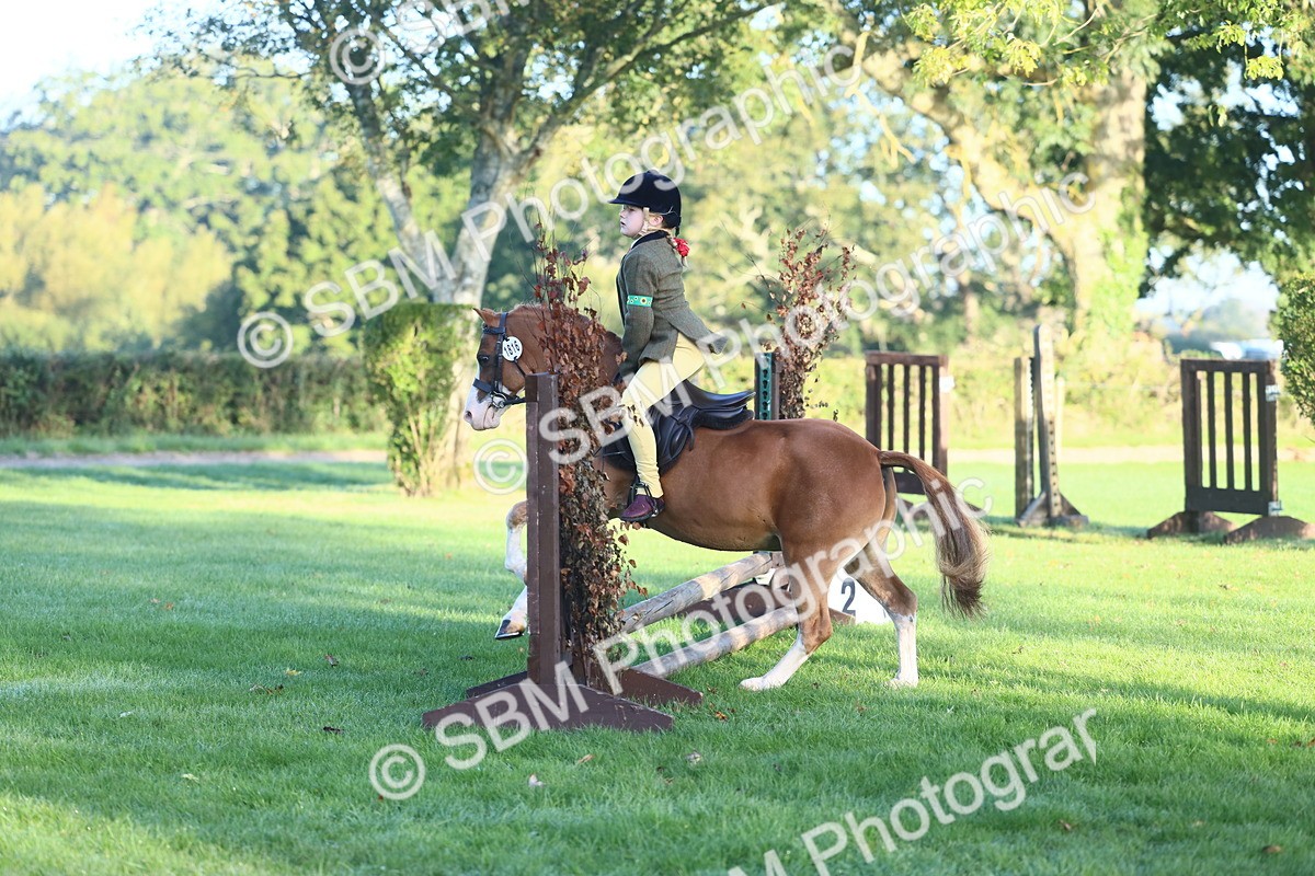 SBM_31814 - S28 - Nursery Stakes Working Hunter Pony