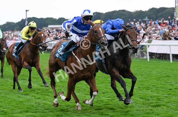 230825-256 Revival Power - Race 6 4.45pm Julia Graves Roses Stakes
