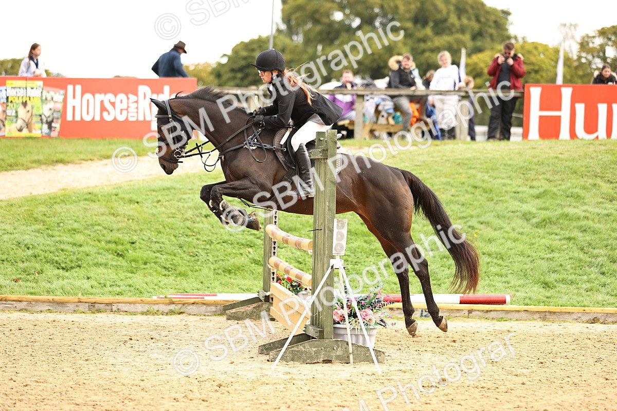 SBM_58451 - J41 - Grand Tour Horse & Pony 95cm