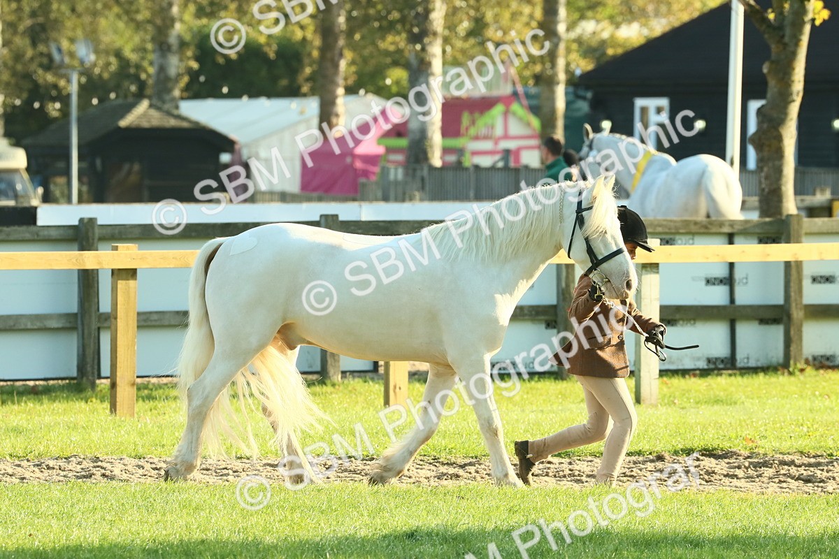 SBM_57370 - S37 - Starters In Hand Showing