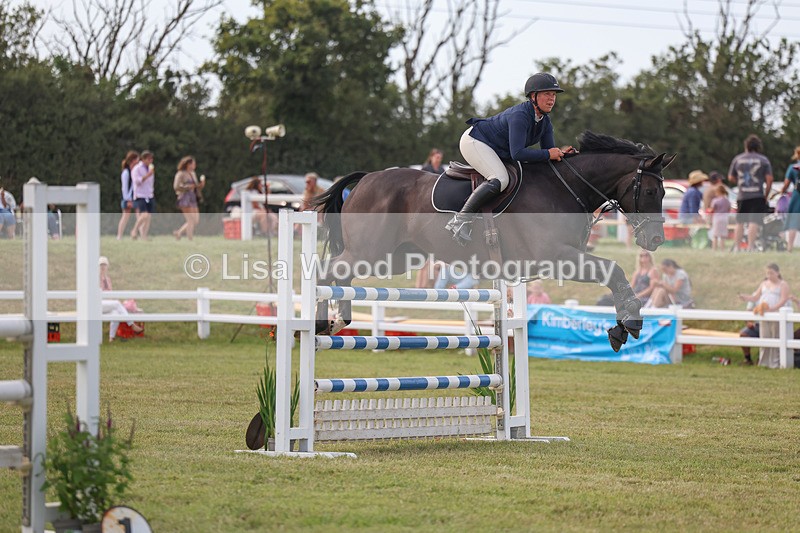 3E7A0845 - Class C: Showjumping Senior Foxhunter