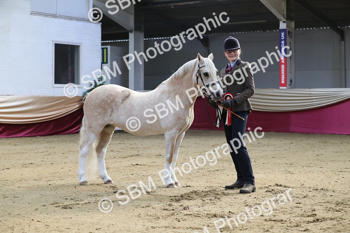 SBM_00317 - Class 1a - Area IH Diamond